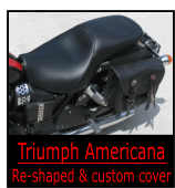 Truimph Americana